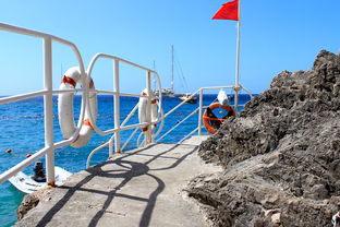 海湾者未来青训体系逐渐完善，海湾技术